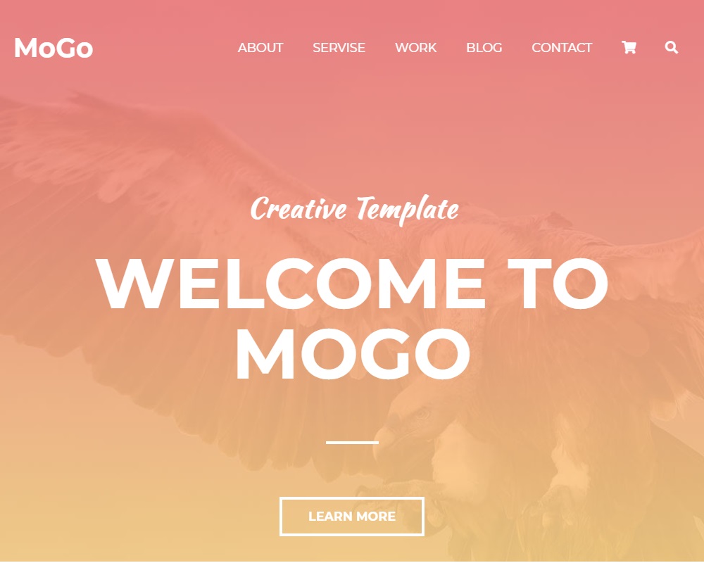 #1 Mogo